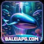 baleiapg - King Edition v2.6.6